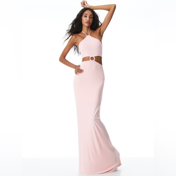 Alice + Olivia Dresses & Skirts - Alice + Olivia Marguerite Elegant Pink Cutout Maxi Dress